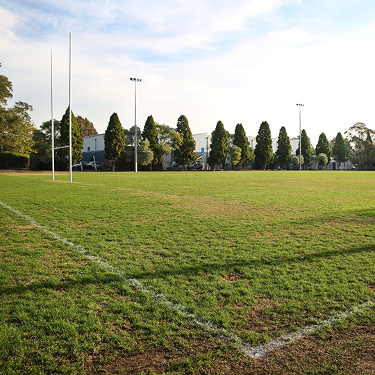 157_9282_16Aug2022162717_SQ Rugby pitch, Blackmore Oval 373A1517.jpg